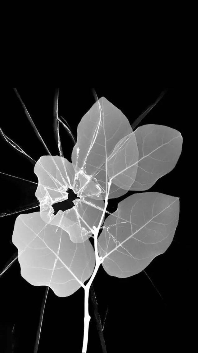 苹果手表壁纸破碎版(苹果手表壁纸破碎版怎么设置)-第3张图片-有道翻译官网 苹果手表壁纸破碎版(苹果手表壁纸破碎版怎么设置)-第3张图片-有道翻译官网