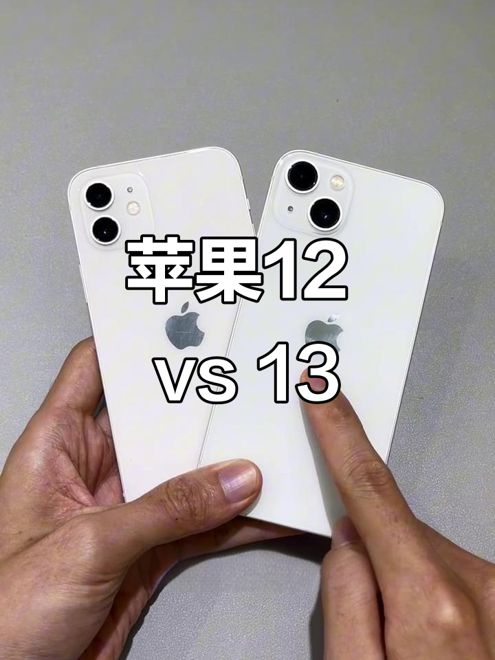 苹果12简配版和普通版(iphone 12简配版)-第3张图片-有道翻译官网