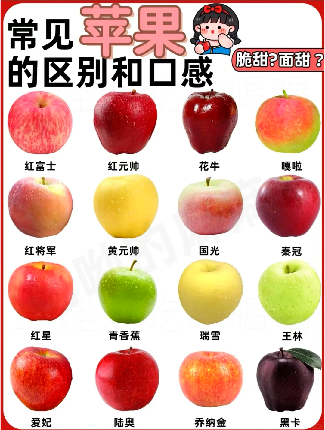 苹果简配版跟标准版(苹果简配版跟标准版哪个好)-第5张图片-有道翻译官网 苹果简配版跟标准版(苹果简配版跟标准版哪个好)-第5张图片-有道翻译官网